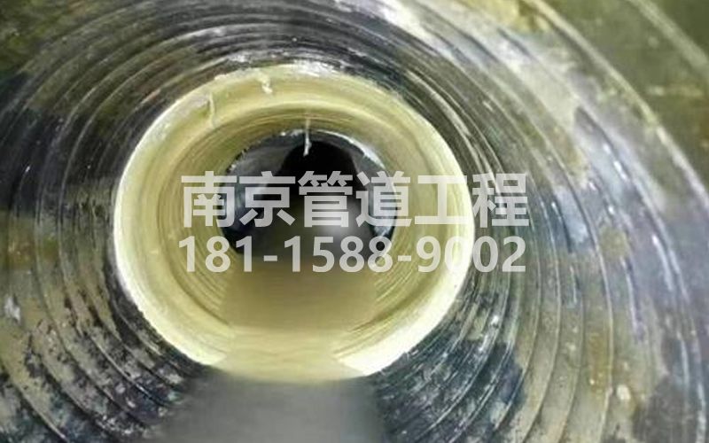 226百子亭树脂修复